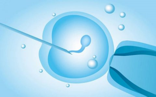 江西供卵中心,江西试管婴儿成功率高吗?附江西试管医院成功率数据