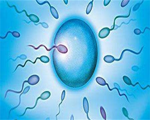 供卵生子医院:移植当天内膜15mm容易着床吗