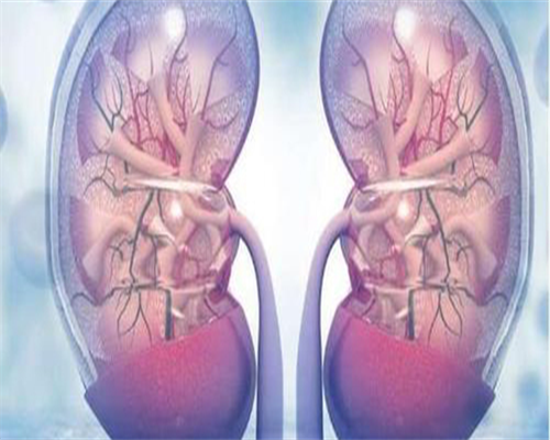 40岁高龄试管成功案例_40岁做试管婴儿成功率高吗