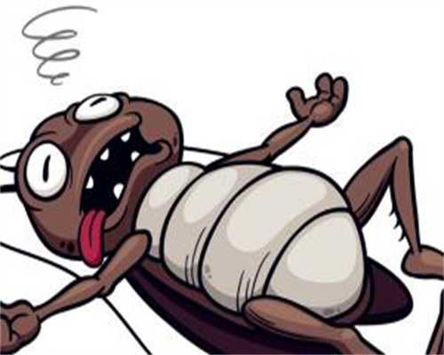 能做借卵试管:排卵试纸第十天弱阳表示什么