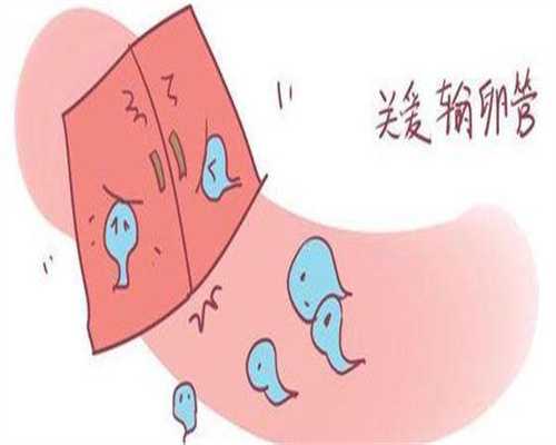 南昌助孕网-南昌辅助生殖中心