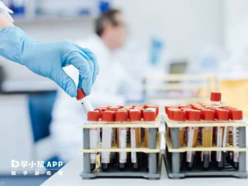 试管婴儿胚胎移植后需要黄体支持吗?