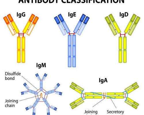 江西去代孕还行吗,江西三代试管婴儿医院排名怎么样？江西三代试管去哪做？