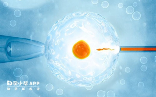 江西卵巢早衰助孕,江西是否为单独二胎