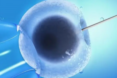 江西代生生仔,江西陪产假有几天