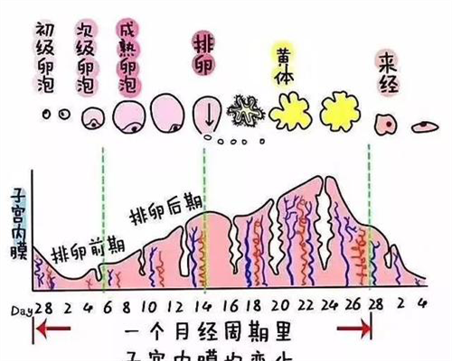江西最新代孕,最新江西三代试管医院有哪些?附医院排名费用及成功率详情