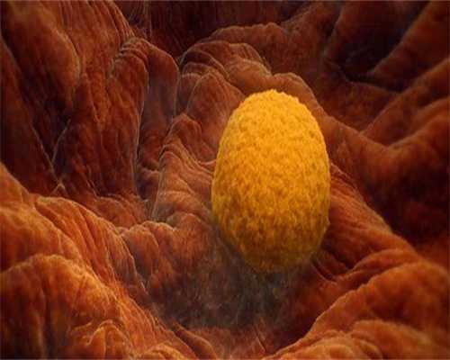 试管婴儿染色体异常概率比正常怀孕大