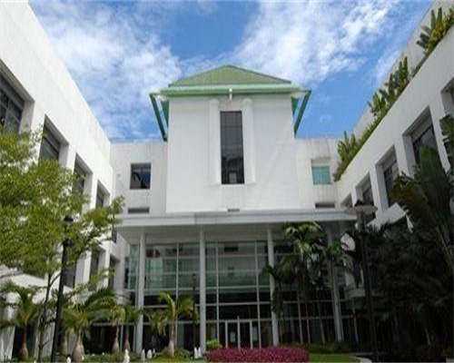 私人试管代怀:d3的冻胚是什么胚胎？是优质胚胎吗？