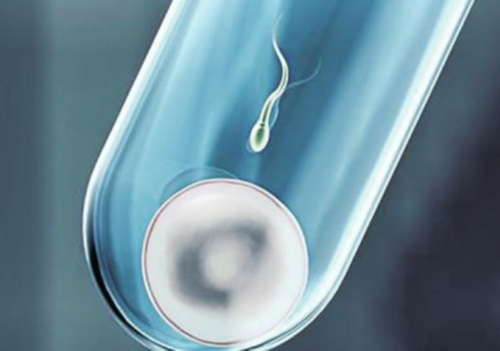 江西助孕网怎么样,江西三代试管婴儿医院排名怎么样？江西三代试管去哪做？