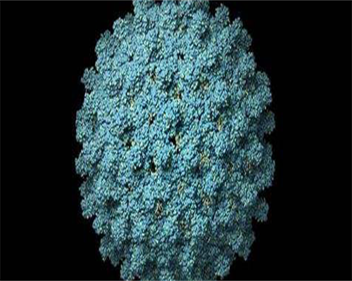 江西有捐卵吗，[江西二胎罚款]江西超生二胎罚款标准_江西二胎罚款标准_江西