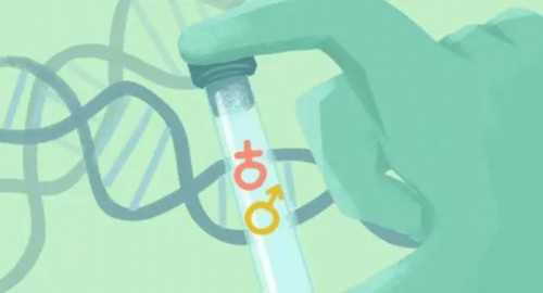 江西供卵自己怀孕，江西试管婴儿做一次多少钱-江西试管婴儿做一次多少钱