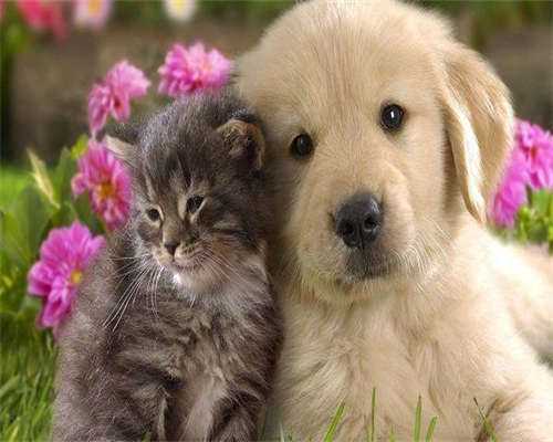 江西捐卵交流，江西防辐射铅板