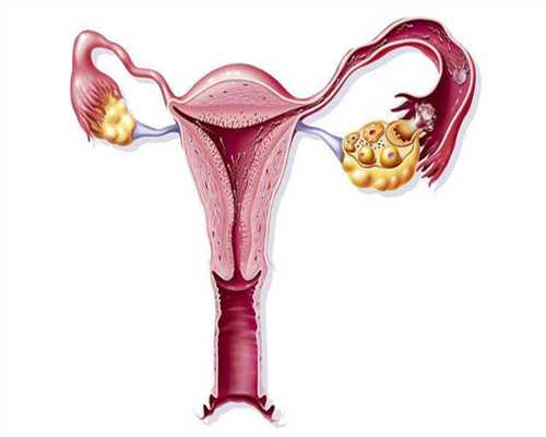 江西借卵生子条件,江西供卵助孕孩子选性别?江西2026年女方生二胎爸爸陪产