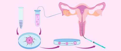 卵泡质量不好有小卵泡能怀孕吗?