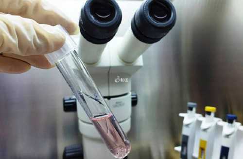 代怀孕价格:做试管婴儿的年龄限制多大最佳