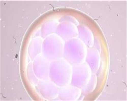 艾滋携带做供卵试管有影响吗,男性艾滋携带做供卵试管有影响吗