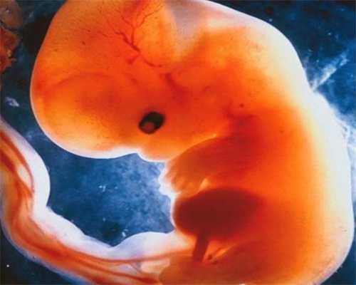 江西取精捐卵，[江西二胎罚款]江西超生二胎罚款标准_江西二胎罚款标准_江西